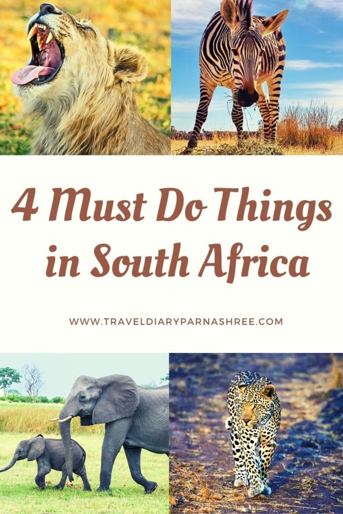 Sa Things 4 Must Do Things in South Africa